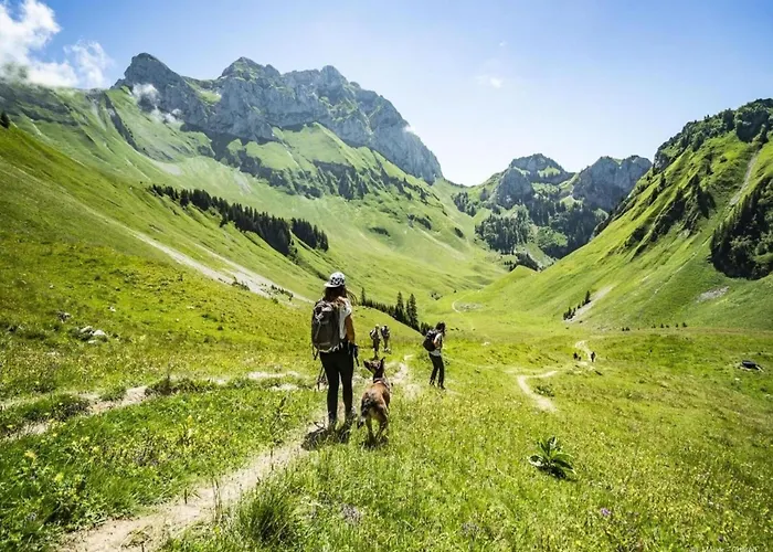 Perce Neige For 4 People Châtel