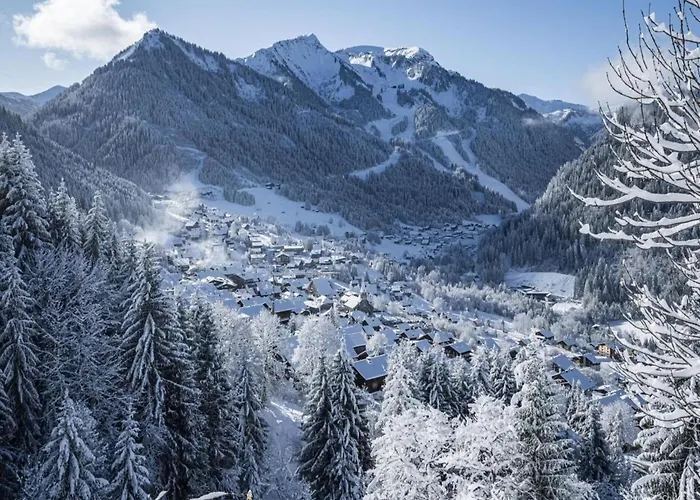 Perce Neige For 4 People Châtel
